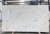 Monte Carlo Gray