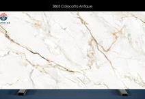 Calacatta Antique