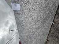 White Primata